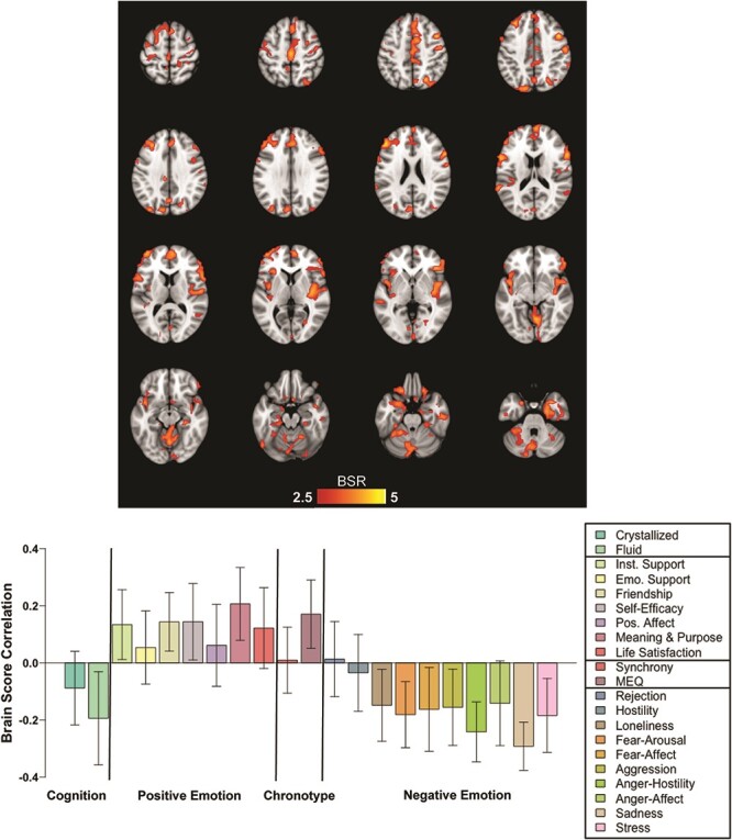 Relation of resting brain signal variability to cognitive and socioemotional measures in an adult lifespan sample.