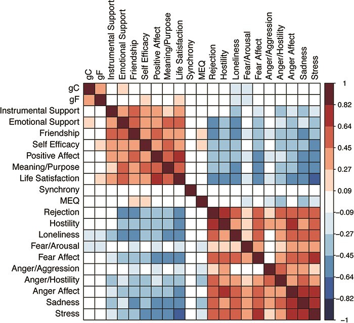 Relation of resting brain signal variability to cognitive and socioemotional measures in an adult lifespan sample.