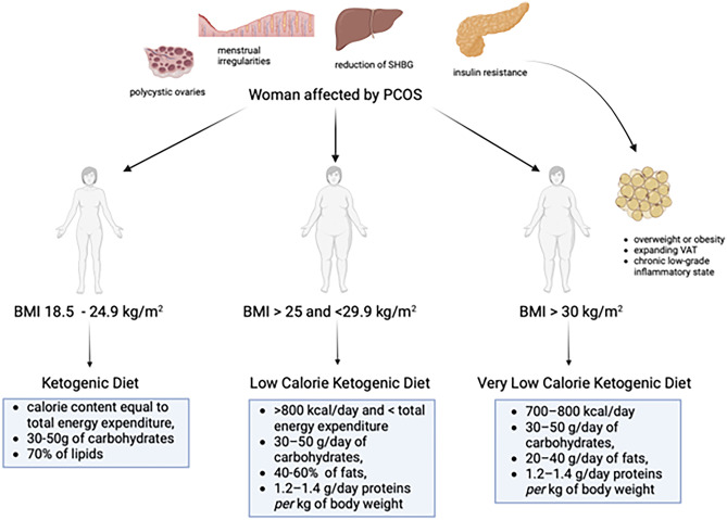 Ketogenic Diet as a Possible Non-pharmacological Therapy in Main Endocrine Diseases of the Female Reproductive System: A Practical Guide for Nutritionists.