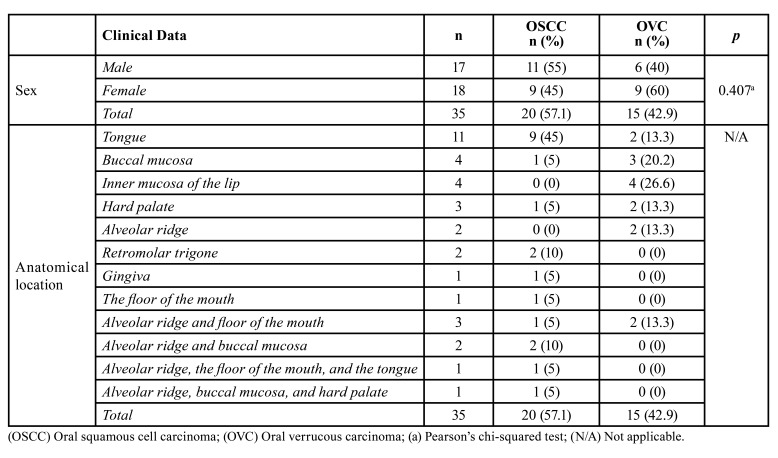 The stromal immunoexpression of CLIC4 may be related to the difference in the biological behavior between oral squamous cell carcinoma and oral verrucous carcinoma.