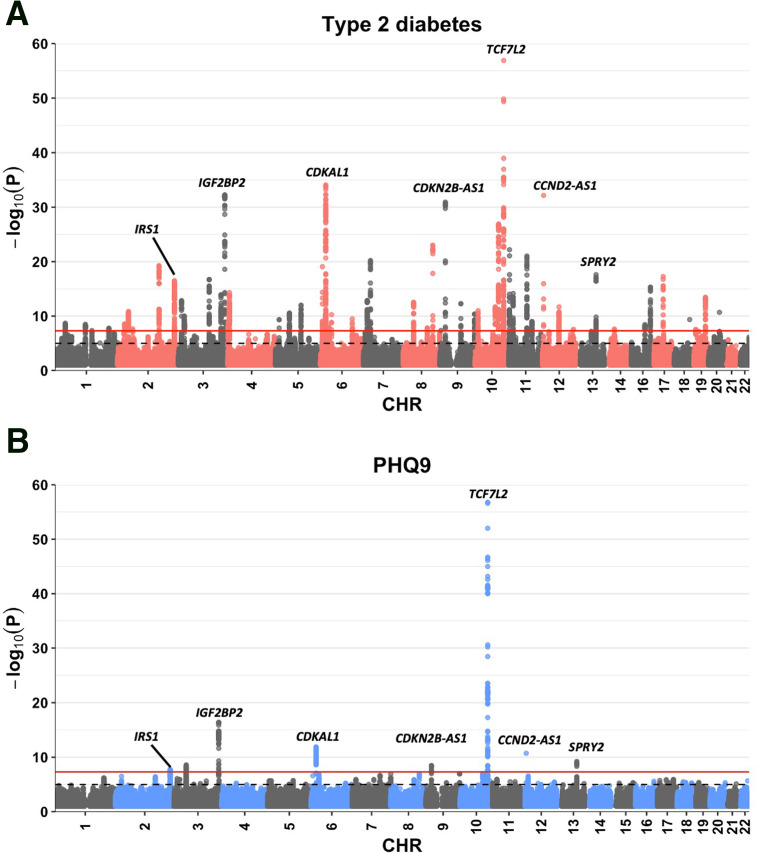 Bidirectional Mendelian Randomization and Multiphenotype GWAS Show Causality and Shared Pathophysiology Between Depression and Type 2 Diabetes.