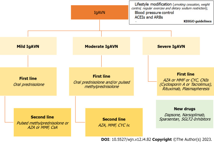 Immunoglobulin A vasculitis nephritis: Current understanding of pathogenesis and treatment.