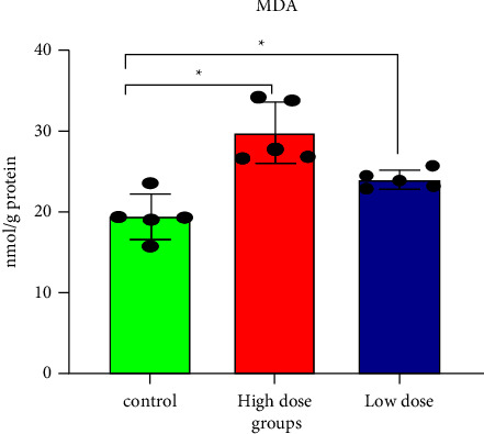 Imidacloprid Induces Neurotoxicity in Albino Male Rats by Inhibiting Acetylcholinesterase Activity, Altering Antioxidant Status, and Primary DNA Damage.