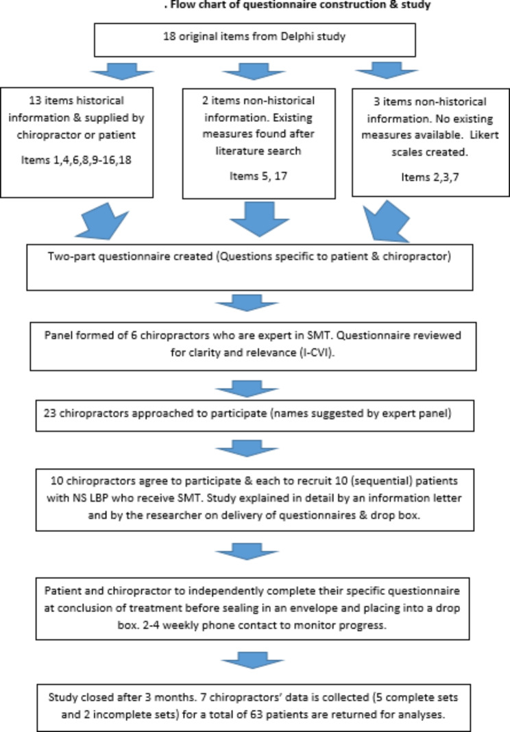 Creating and testing a questionnaire to predict immediate and strong positive responders to spinal manipulative therapy for non-specific low back pain. A pilot study.