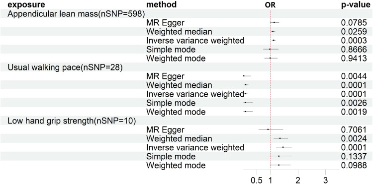 A Bidirectional Mendelian Randomization Study of Sarcopenia-Related Traits and Knee Osteoarthritis.