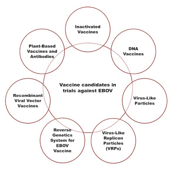 Tracing down the updates on Ebola virus surges: An update on anti-ebola therapeutic strategies.