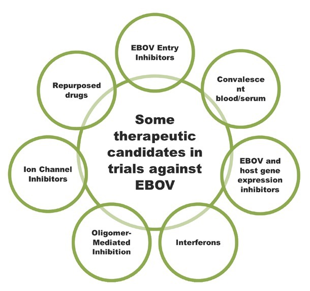 Tracing down the updates on Ebola virus surges: An update on anti-ebola therapeutic strategies.