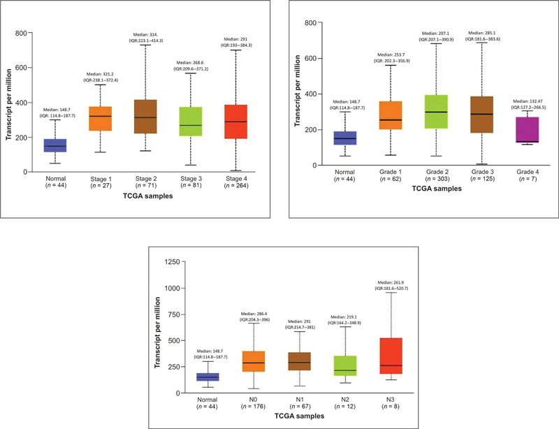 Expression of CD44 in Head and Neck Squamous Cell Carcinoma-An <i>In-Silico</i> Study.