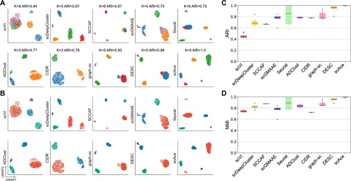 scAce: an adaptive embedding and clustering method for single-cell gene expression data.