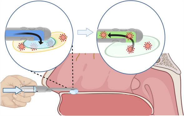 3D printed fluidic swab for COVID-19 testing with improved diagnostic yield and user comfort