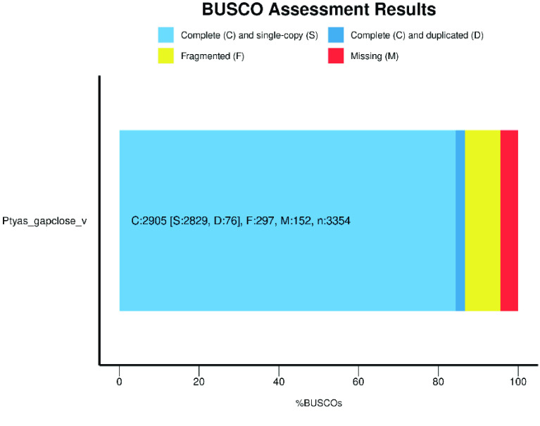 The genome assembly and annotation of the Oriental rat snake <i>Ptyas mucosa</i>.