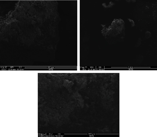 Physicochemical Properties of Wild Yam (<i>Dioscorea villosa</i>) Starch.