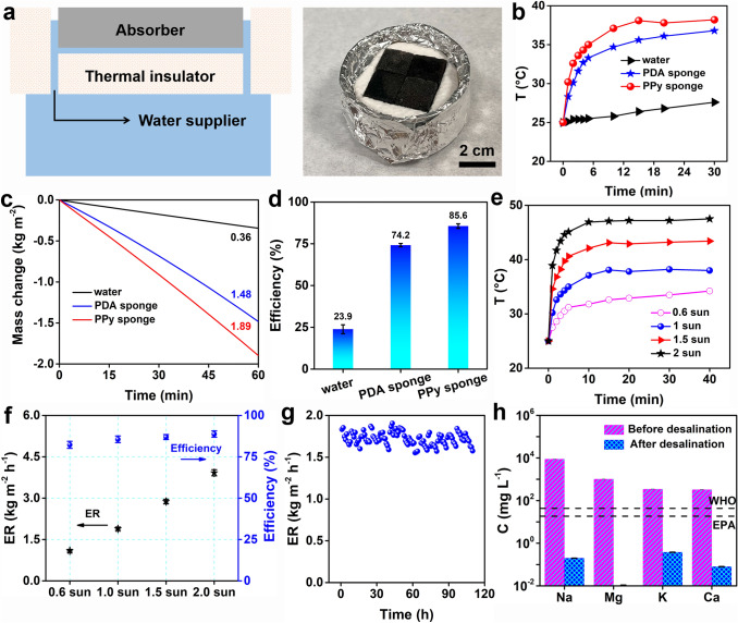 Micro–Nano Water Film Enabled High-Performance Interfacial Solar Evaporation