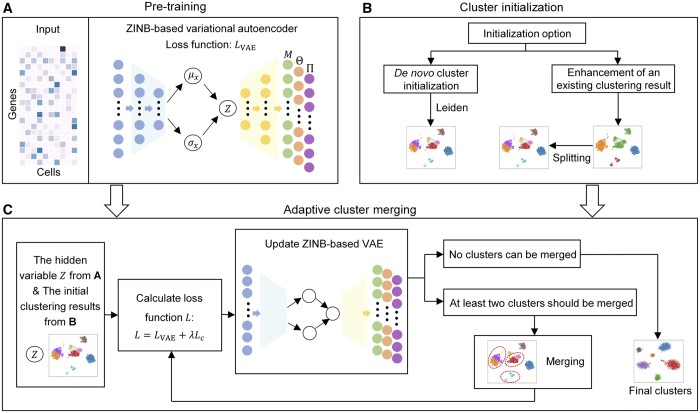 scAce: an adaptive embedding and clustering method for single-cell gene expression data.