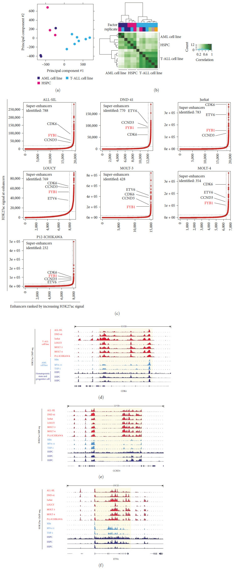 Super Enhancer Regulatory Gene FYB1 Promotes the Progression of T Cell Acute Lymphoblastic Leukemia by Activating IGLL1.