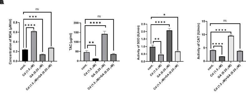 Gallic Acid Ameliorates Cadmium Effect on Osteogenesis by Activation of Alkaline Phosphatase and Collagen Synthesis.