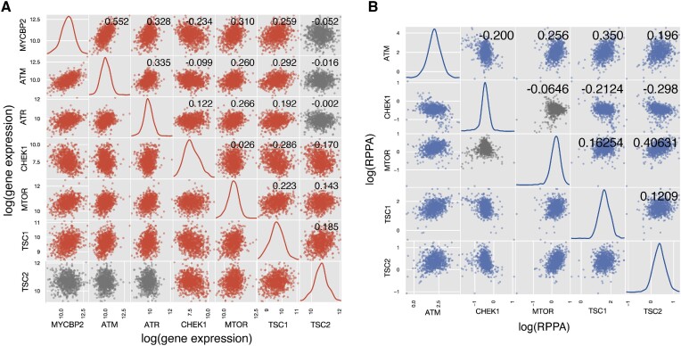 Dysfunction of ubiquitin protein ligase <i>MYCBP2</i> leads to cell resilience in human breast cancers.