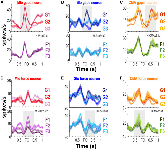 Multiple regions of sensorimotor cortex encode bite force and gape.