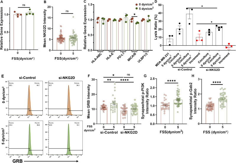 Fluid shear stress enhances natural killer cell's cytotoxicity toward circulating tumor cells through NKG2D-mediated mechanosensing.