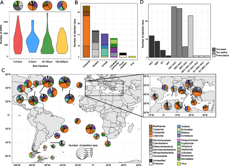 Holistic view of the seascape dynamics and environment impact on macro-scale genetic connectivity of marine plankton populations.