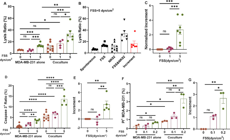 Fluid shear stress enhances natural killer cell's cytotoxicity toward circulating tumor cells through NKG2D-mediated mechanosensing.