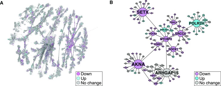 Dysfunction of ubiquitin protein ligase <i>MYCBP2</i> leads to cell resilience in human breast cancers.