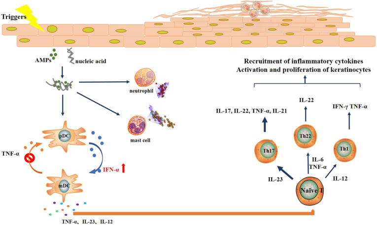 Paradoxical psoriasis: The flip side of idiopathic psoriasis or an autocephalous reversible drug reaction?