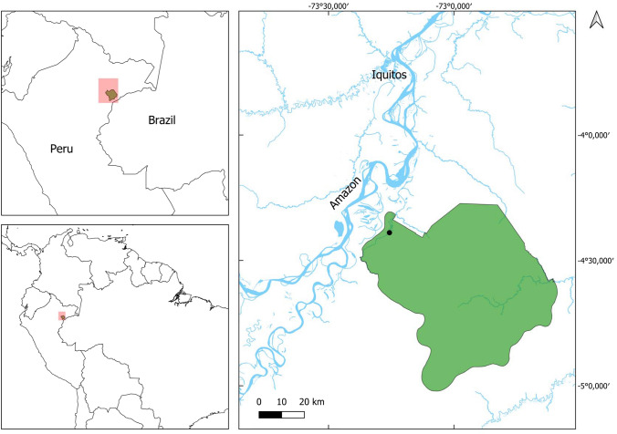 Feeding ecology of monk sakis (Pithecia monachus) in a seasonally flooded forest in western Amazonia.