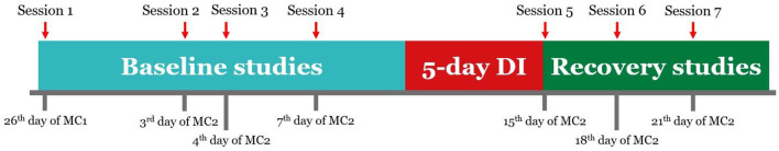 Corticospinal excitability after 5-day Dry Immersion in women.