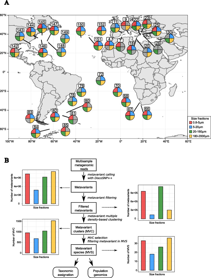 Holistic view of the seascape dynamics and environment impact on macro-scale genetic connectivity of marine plankton populations.