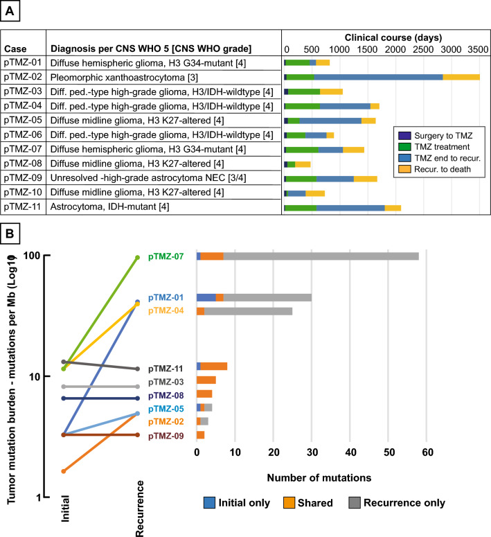 Molecular profiling of pre- and post-treatment pediatric high-grade astrocytomas reveals acquired increased tumor mutation burden in a subset of recurrences.