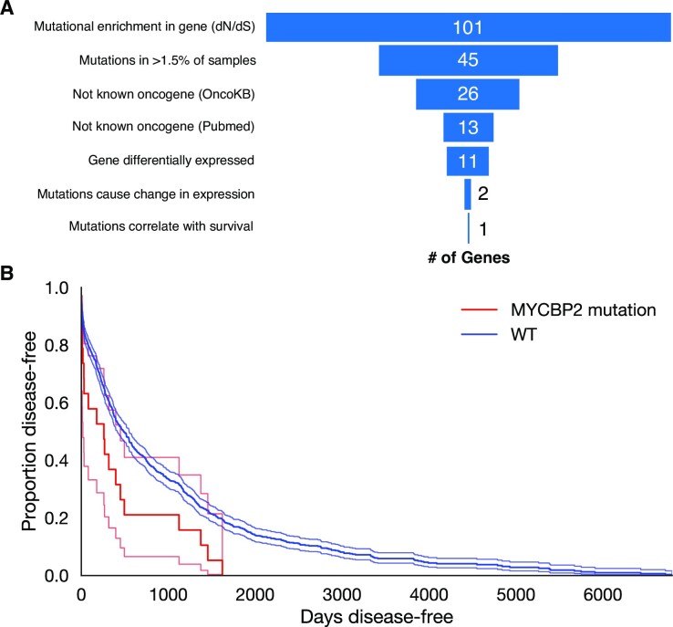 Dysfunction of ubiquitin protein ligase <i>MYCBP2</i> leads to cell resilience in human breast cancers.