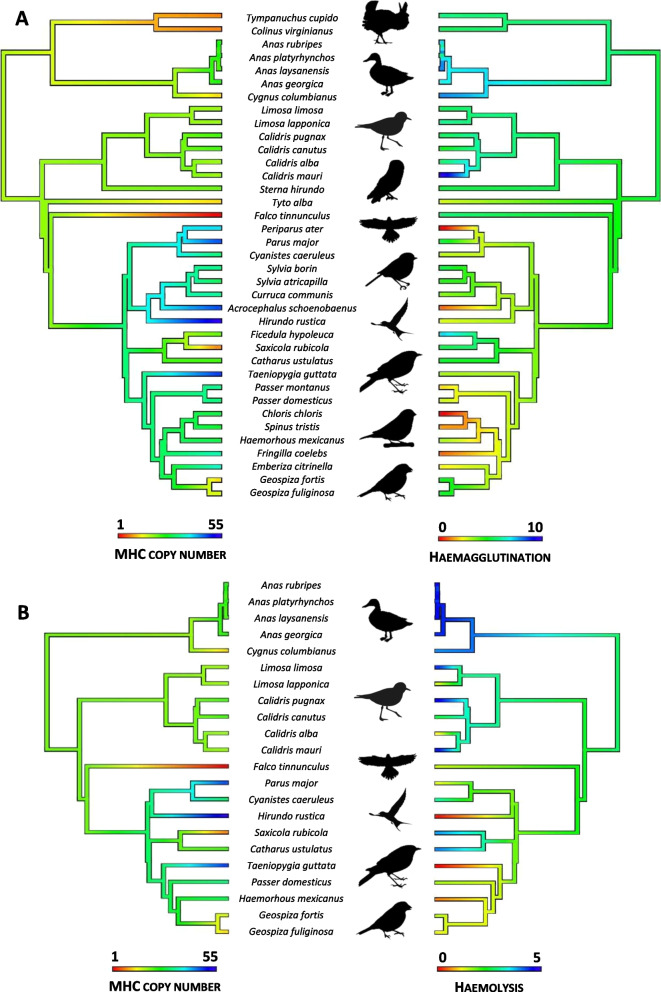 Evolutionary trade-off between innate and acquired immune defences in birds.