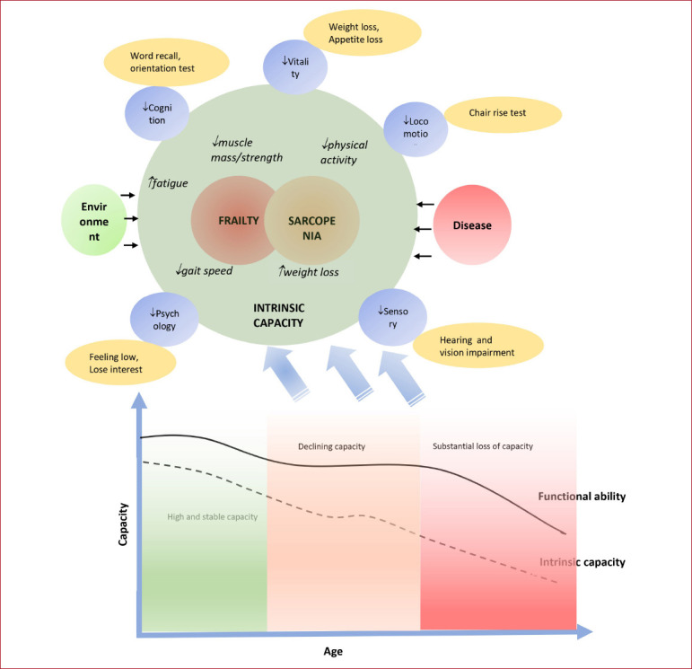 Optimizing intrinsic capacity to prevent frailty and sarcopenia in old age.