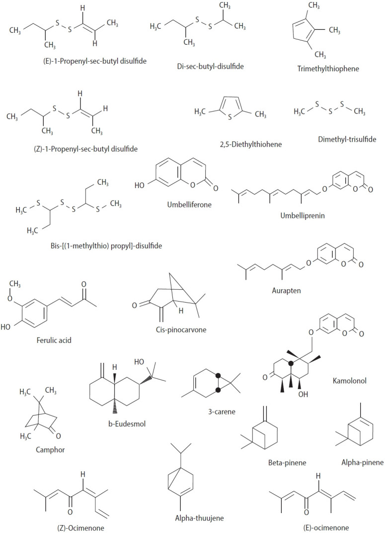 Review of potential spermatogenic and aphrodisiac effects of the Ferula genus.