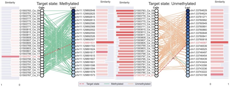 GraphCpG: imputation of single-cell methylomes based on locus-aware neighboring subgraphs.