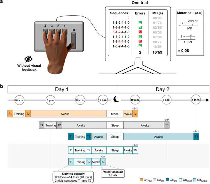 Time of day and sleep effects on motor acquisition and consolidation.