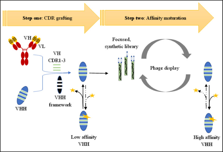 Revolutionizing antiviral therapy with nanobodies: Generation and prospects