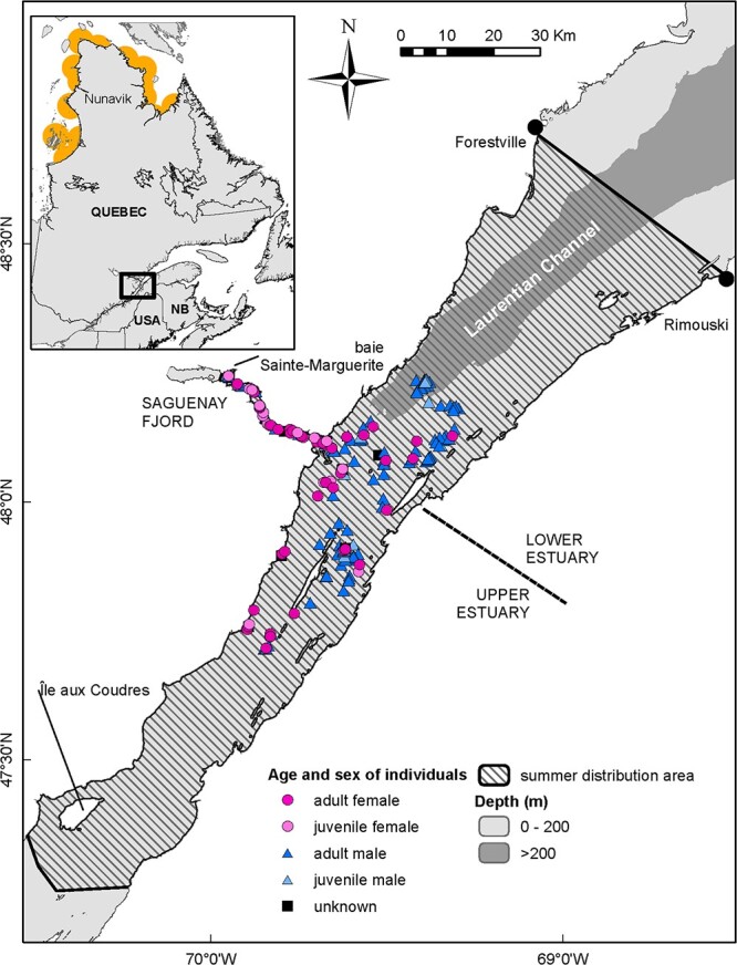 Estimating pregnancy rate from blubber progesterone levels of a blindly biopsied beluga population poses methodological, analytical and statistical challenges.