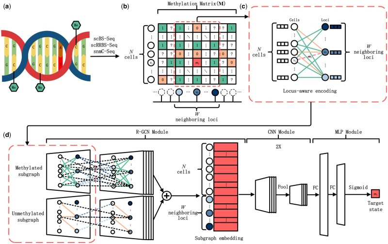 GraphCpG: imputation of single-cell methylomes based on locus-aware neighboring subgraphs.