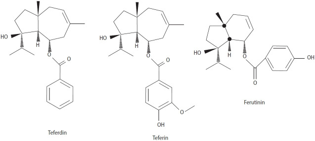 Review of potential spermatogenic and aphrodisiac effects of the Ferula genus.