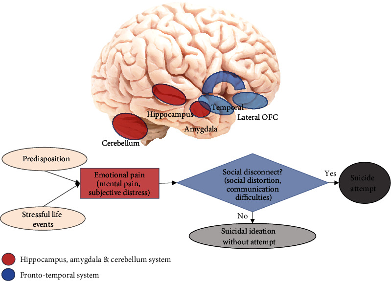 A Systematic Review of MRI Studies and the "Emotional paiN and social Disconnect (END)" Brain Model of Suicidal Behavior in Youth.