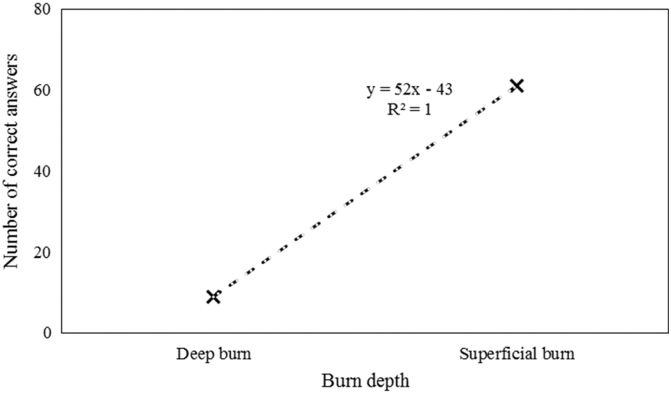 Photographic Evaluation of Burn Depth via Telemedicine: Insights from Iranian Surgeons.