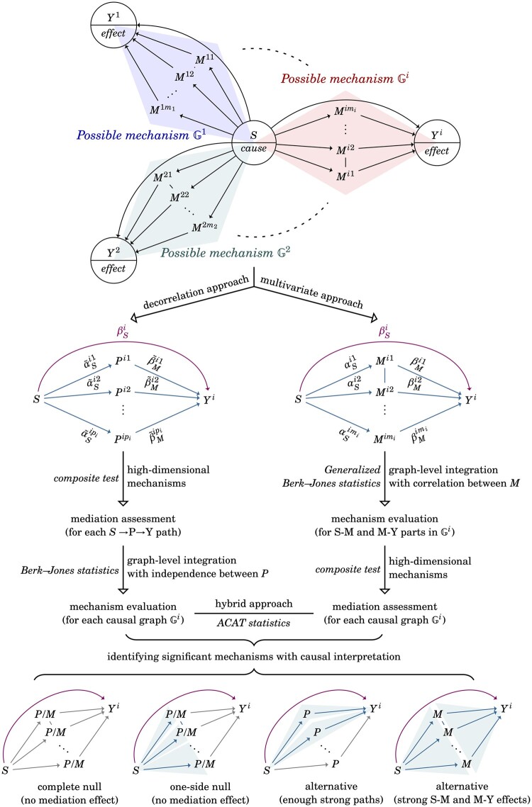 Genome-wide multimediator analyses using the generalized Berk-Jones statistics with the composite test.