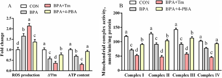 Mechanisms underlying the role of endoplasmic reticulum stress in the placental injury and fetal growth restriction in an ovine gestation model.