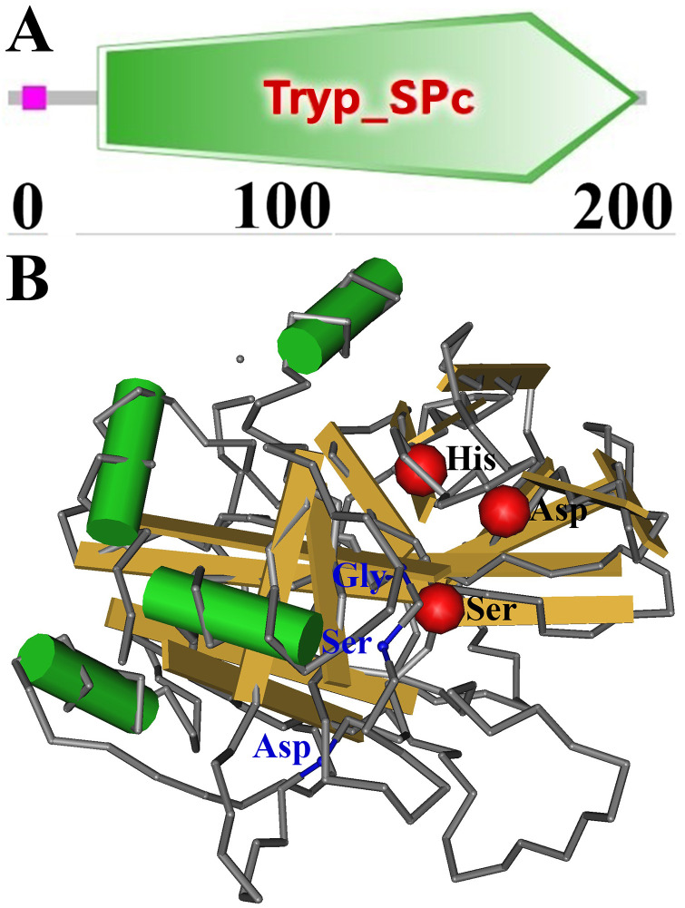 Molecular characterization of a novel serine proteinase from Trichinella spiralis and its participation in larval invasion of gut epithelium.