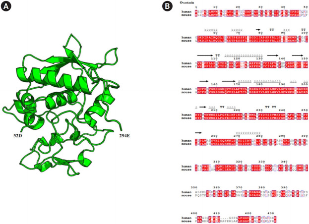 Ovastacin: An oolemma protein that cleaves the zona pellucida to prevent polyspermy.