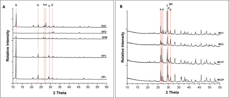 Study of diversity of mineral-forming bacteria in sabkha mats and sediments of mangrove forest in Qatar