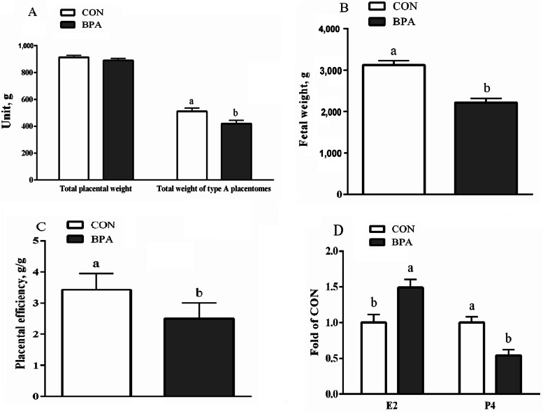 Mechanisms underlying the role of endoplasmic reticulum stress in the placental injury and fetal growth restriction in an ovine gestation model.