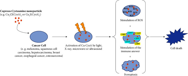 A Review on the Antimutagenic and Anticancer Effects of Cysteamine.